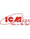 ICM